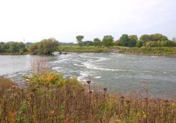 project Meers Grensmaas 2015