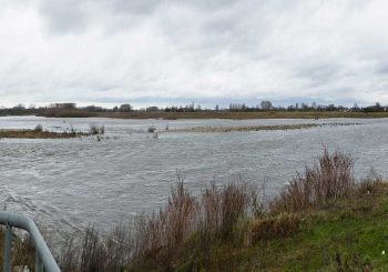 project Meers Grensmaas 2015