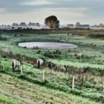 RivierPark Maasvallei