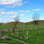 geluidswal Trierveld