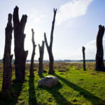 Woodhenge aan de Maas