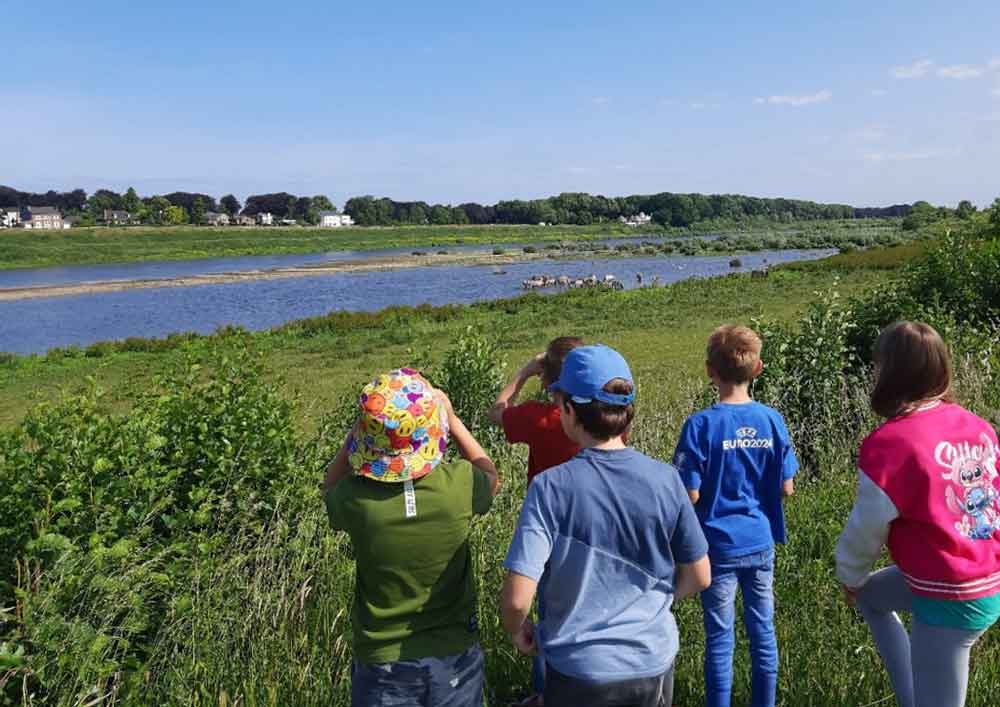 veldlessen Grensmaas