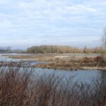 Een van de mooie plekjes bij Maasband