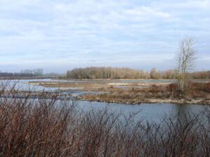 Een van de mooie plekjes bij Maasband