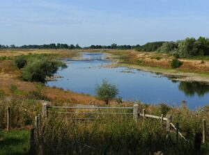 De Grensmaas bij Obbicht had medio augustus meer weg van een beek dan een rivier