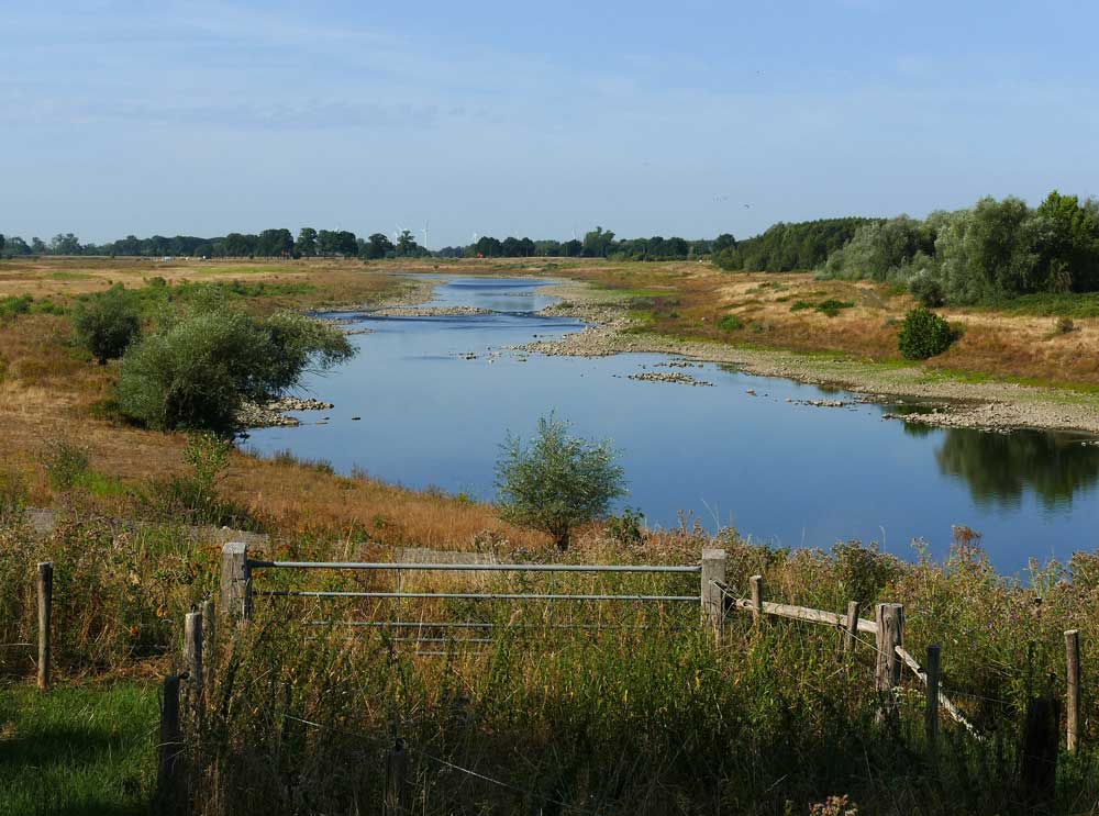 De Grensmaas bij Obbicht had medio augustus meer weg van een beek dan een rivier